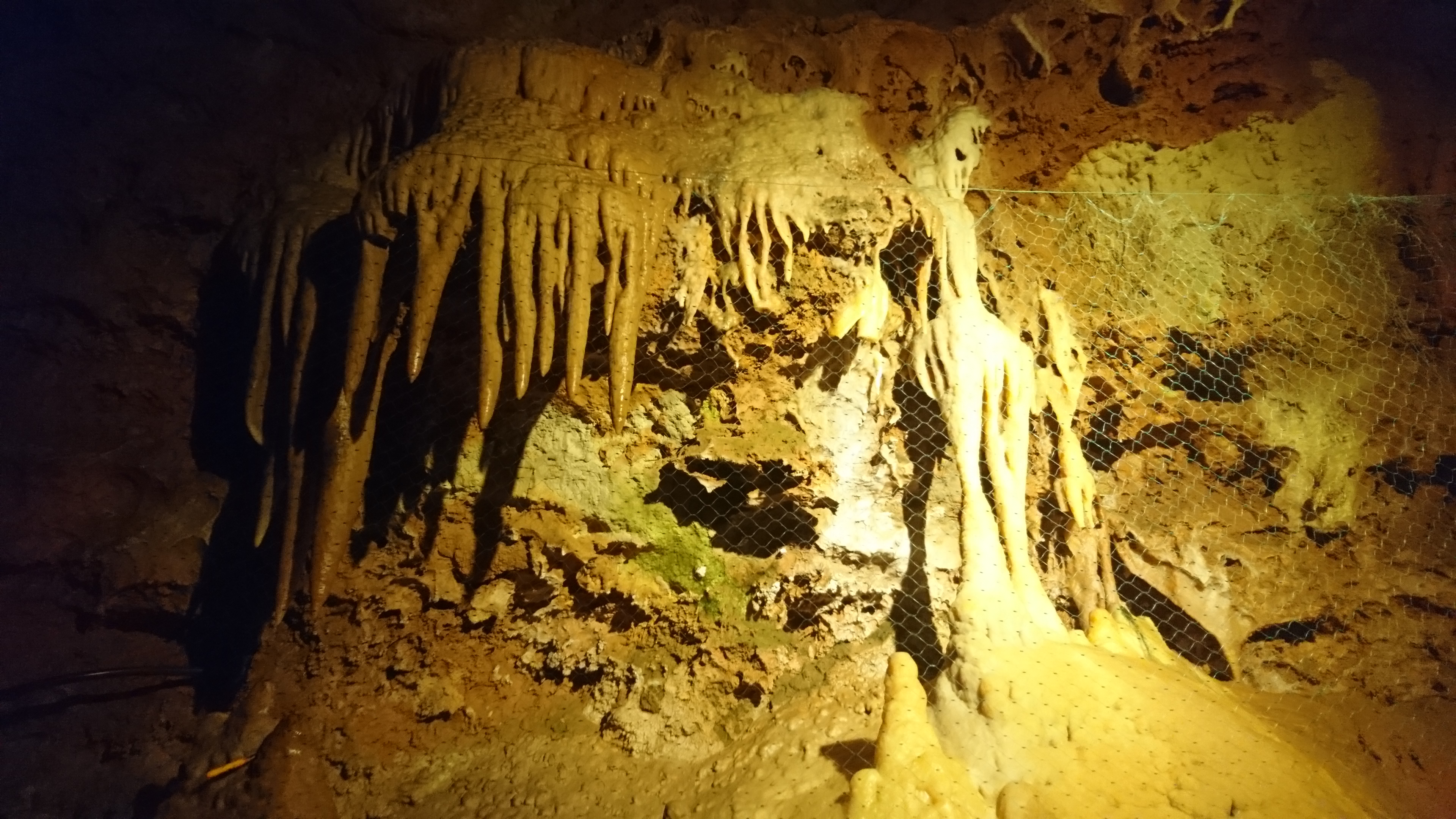 Cave of Saint-Cezaire
