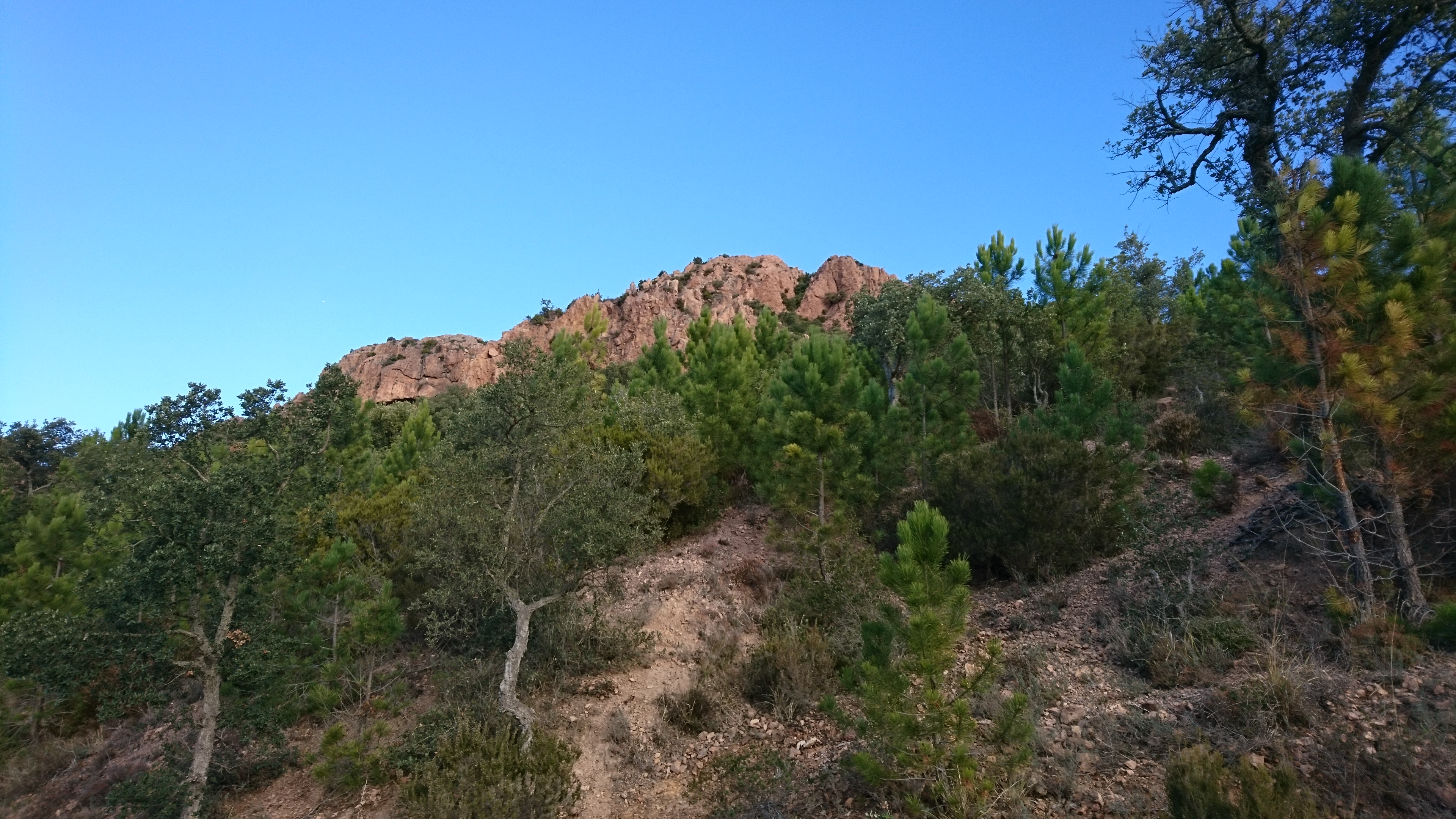 Mont Vinaigre