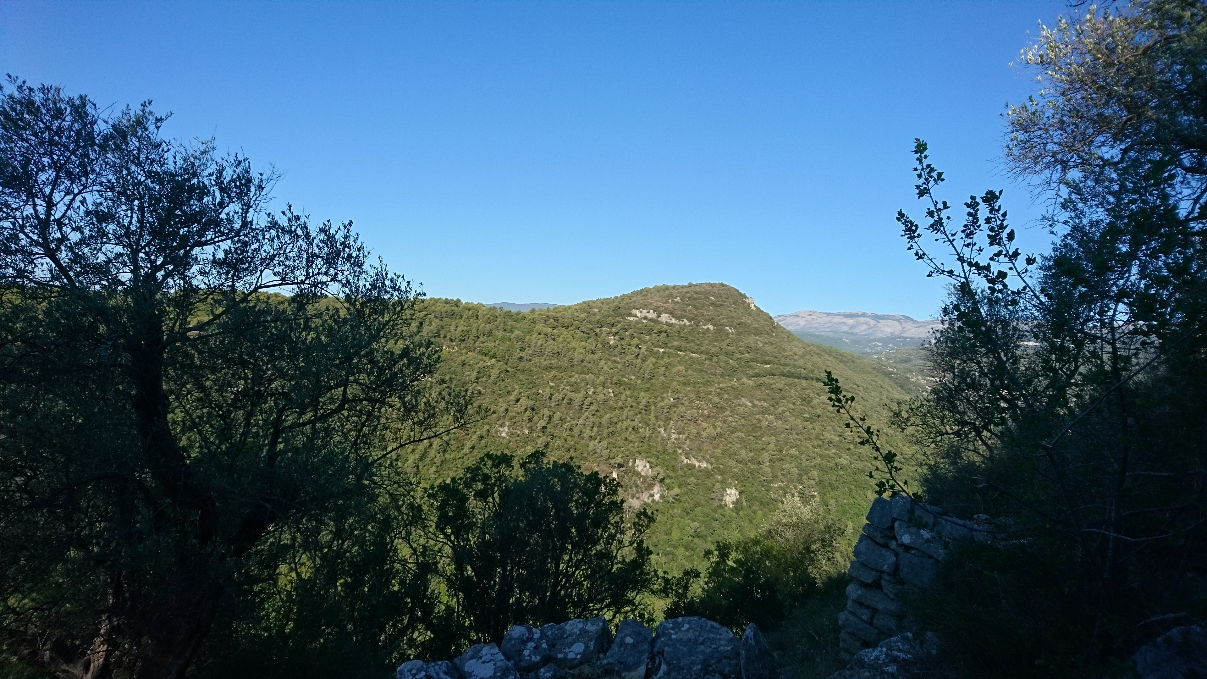View