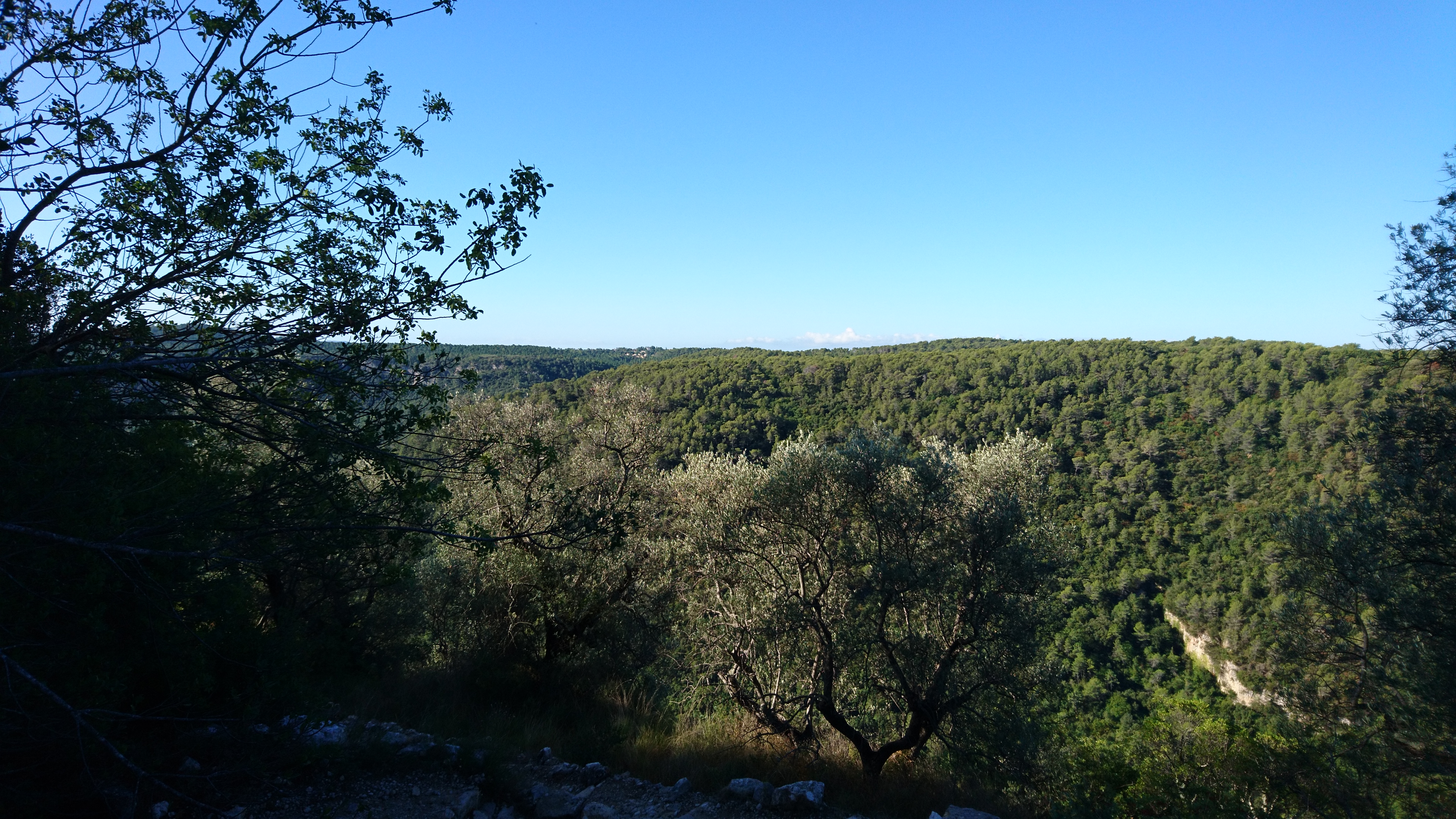View 2
