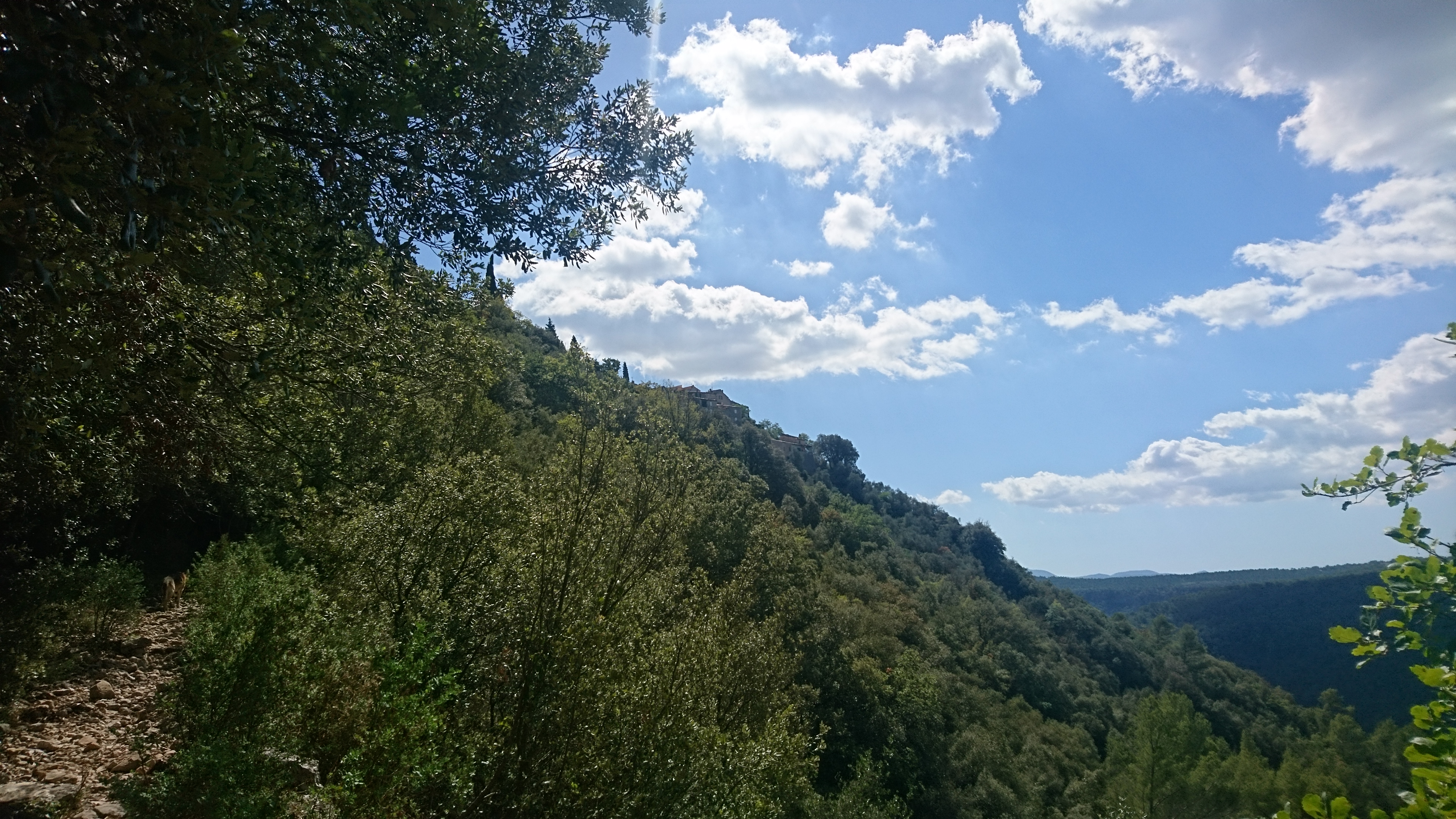 View 2